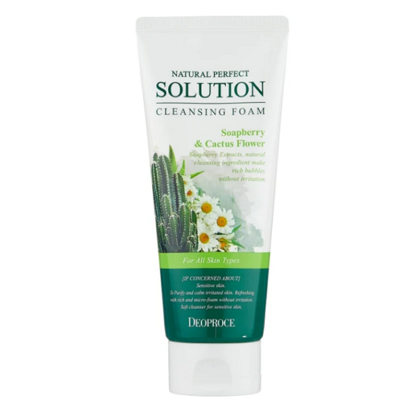 DEOPROCE Natural perfect solution Cleansing foam mild